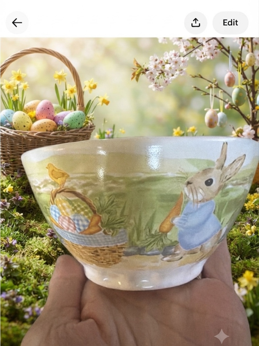 Mud Pie Easter Bunny Ceramic Bowl Peter Rabbit Style Spring Decor